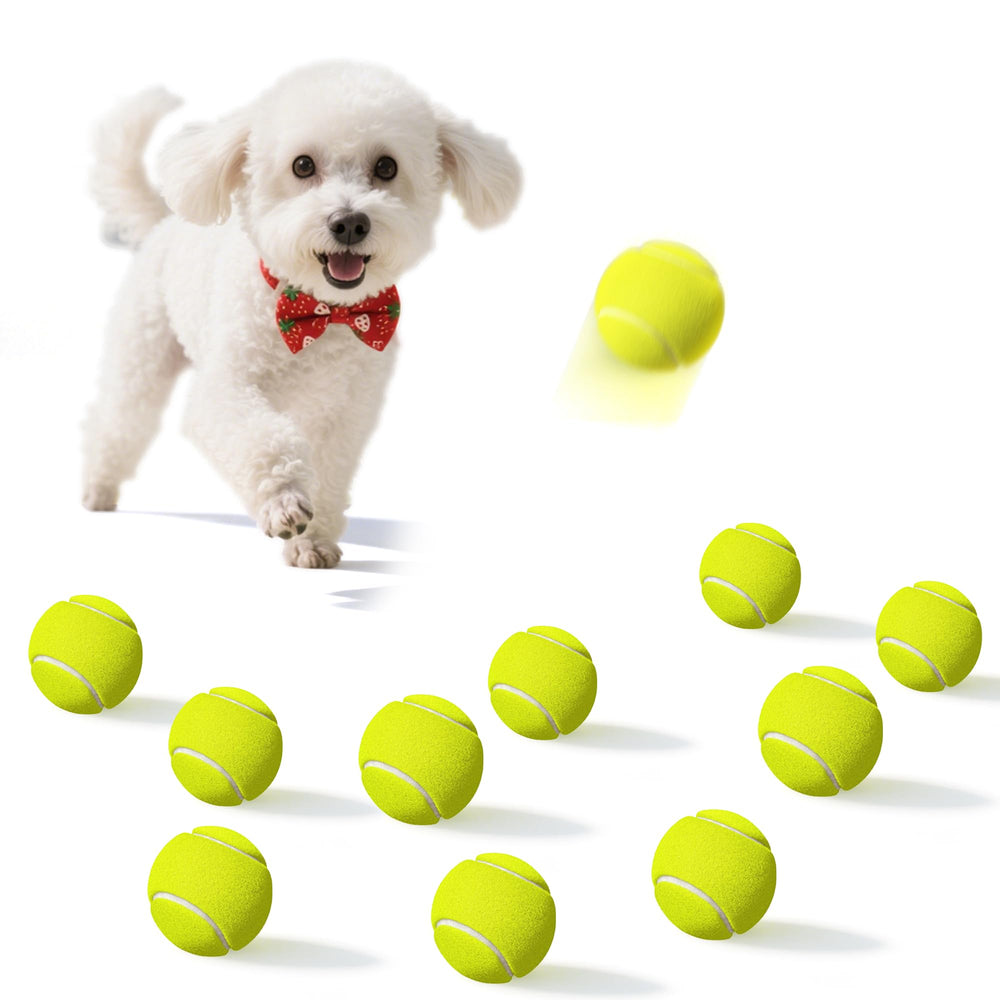 Balle Dukuueie tennis petites-pattes, idéale pour chiens miniatures et jeux en extérieur.