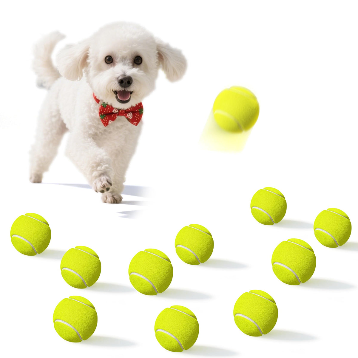 Balle Dukuueie tennis petites-pattes, idéale pour chiens miniatures et jeux en extérieur.