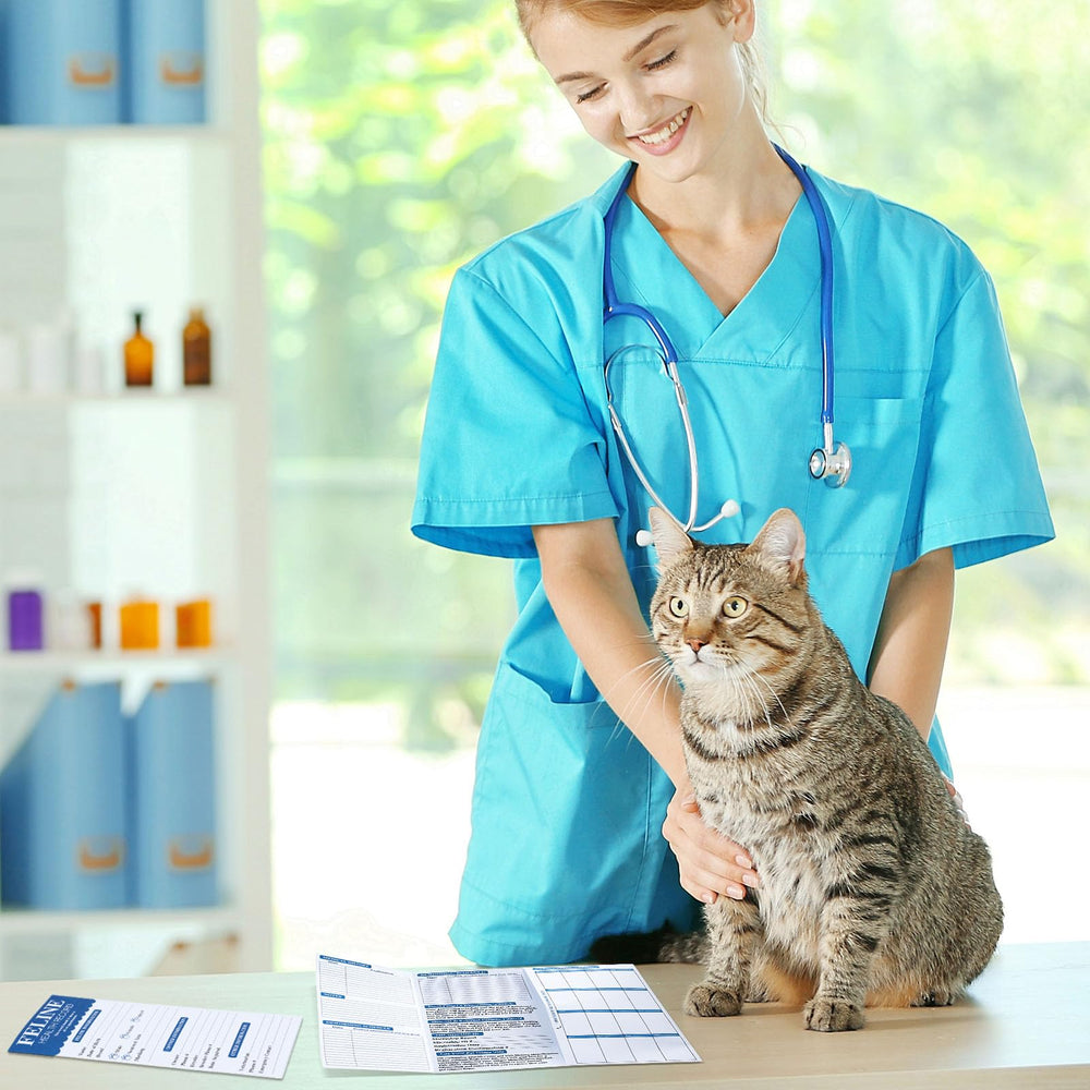 Dunzoom: cadeau réfléchi pour les propriétaires de chats.