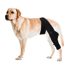 Duomaiyoyo genou-chien ACL tendu : soutien ciblé et stabilisation du genou.