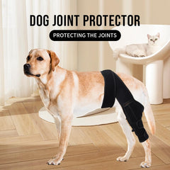 Duomaiyoyo genou-chien neoprene douceur : confort durable pour les longues périodes de port.