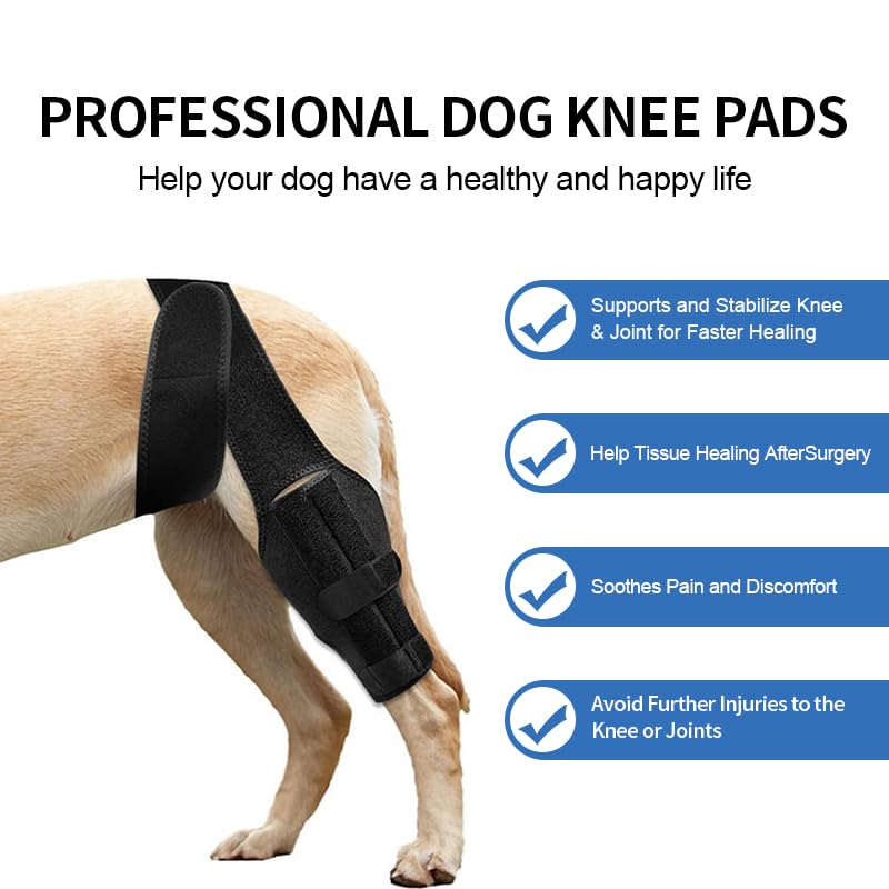 Guide-tailles-genou-chien Duomaiyoyo aide à choisir la taille adaptée.