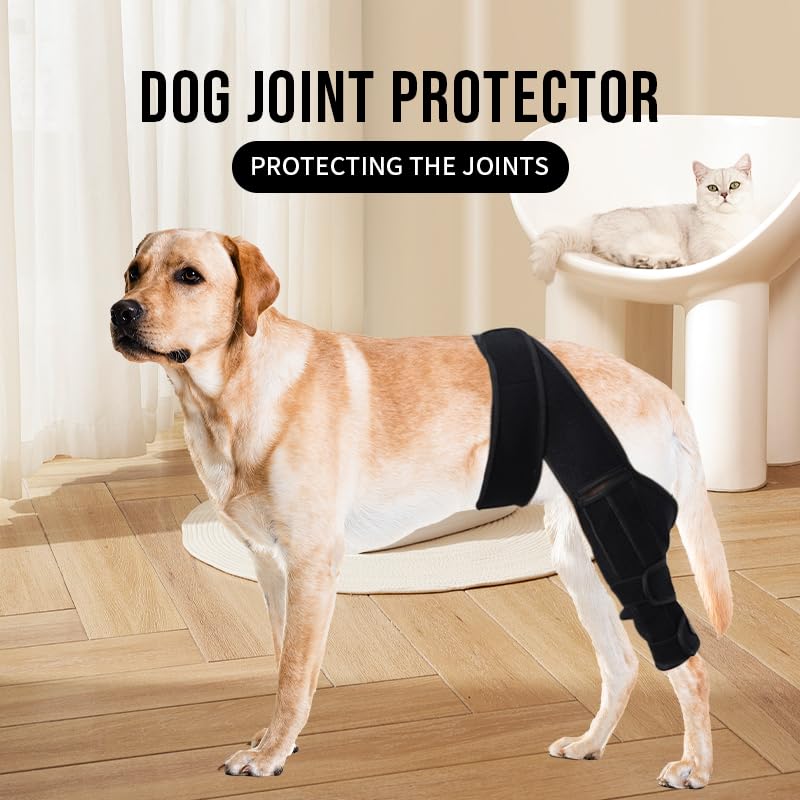 Stabilisateurs latéraux Duomaiyoyo pour genou-chien contrôlant les mouvements.