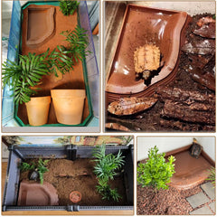 Bain reptile DUOYUZHIYU crée un espace de baignade sain.