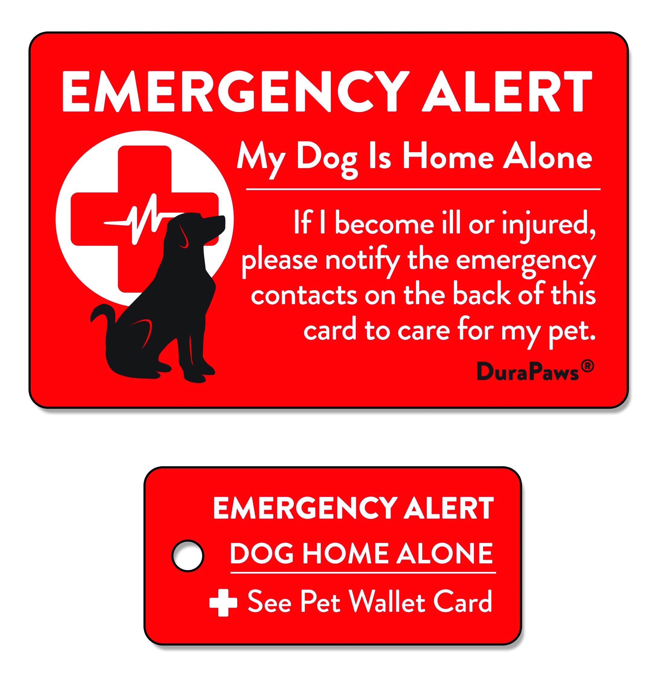 Carte d’urgence DuraPaws chien, face rouge brillante pour alerter les secours et contacter le gardien.