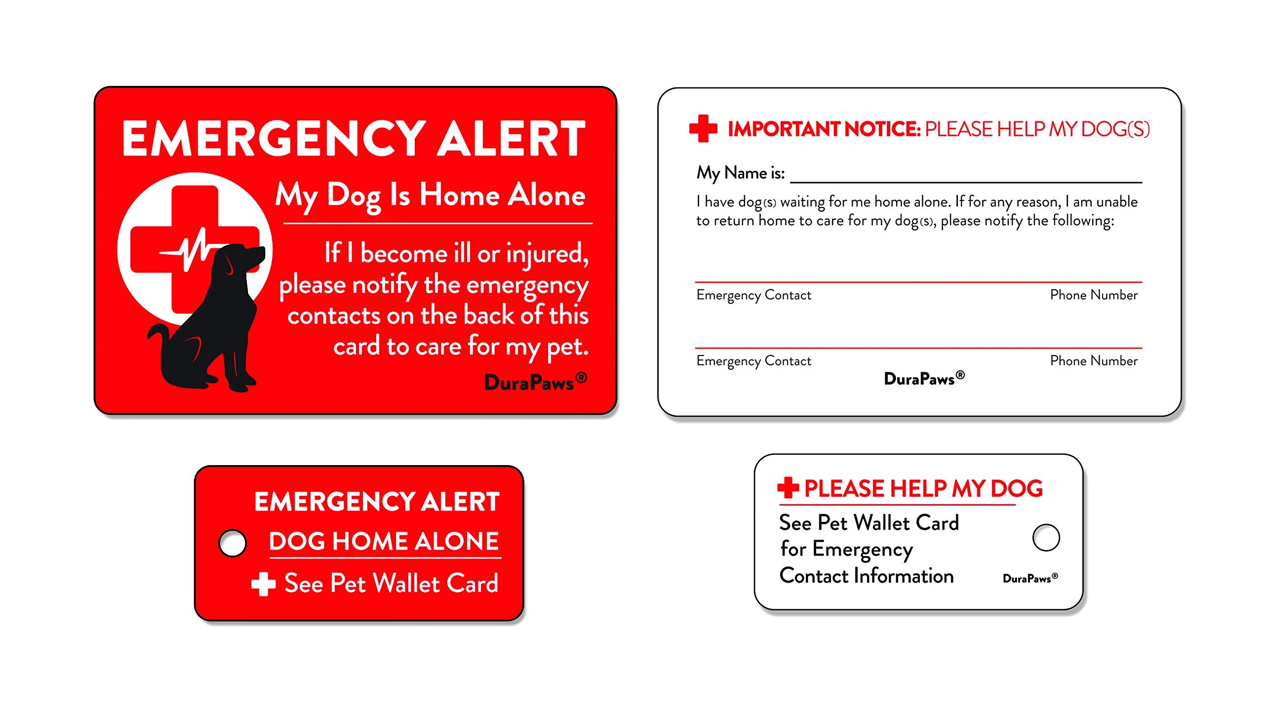 Face arrière écrivable de la carte DuraPaws, idéale pour écrire rapidement contacts d’urgence.