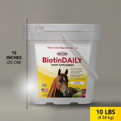 Durvet BIOTIN Daily 10# – Doseur inclus pour administrer les portions quotidiennes facilement.