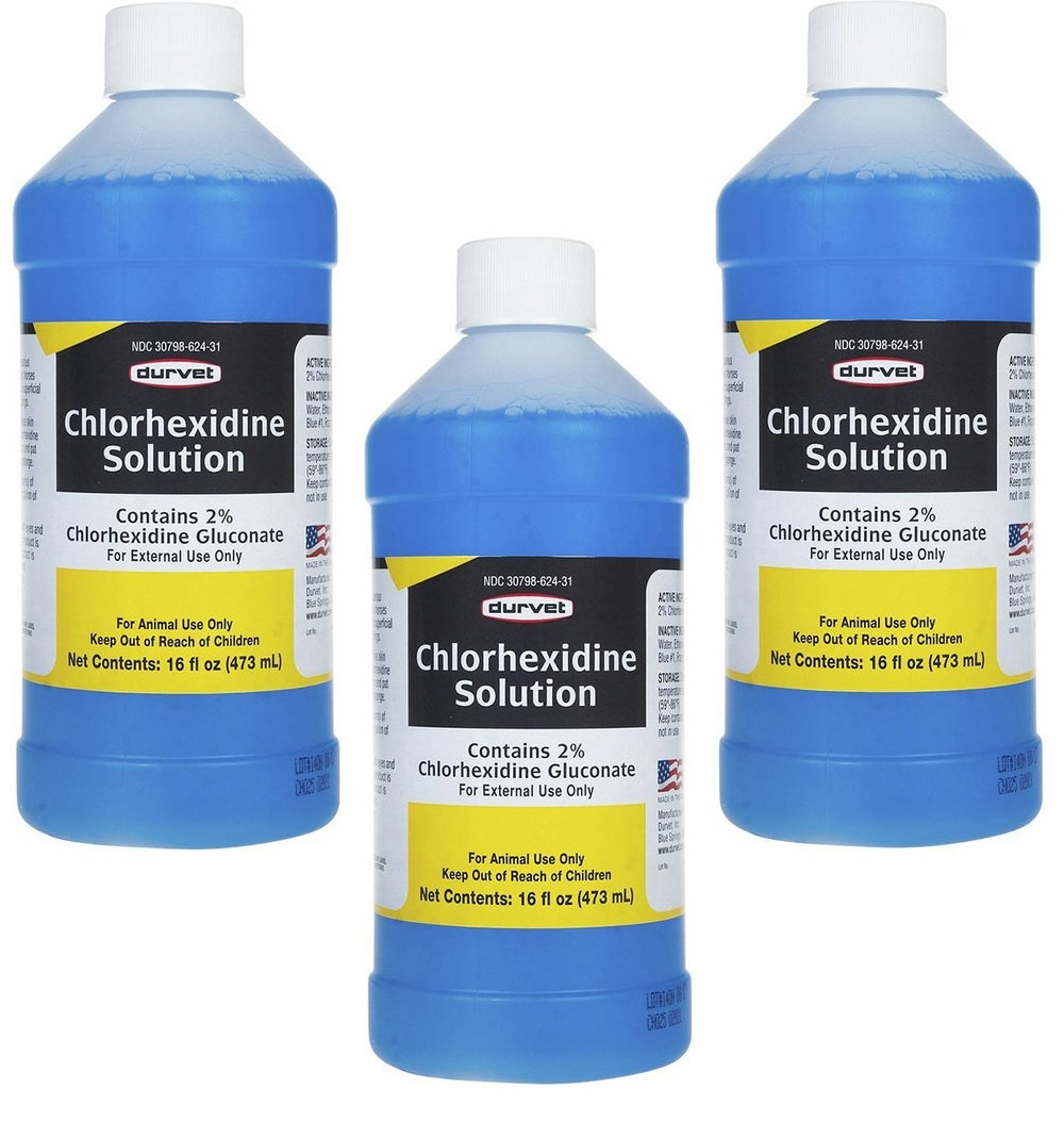 Durvet chlorhexidine 16oz - bouteille en gros plan pour nettoyer les plaies superficielles des chiens.