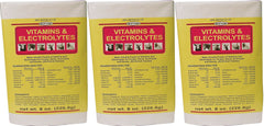 Durvet Électrolytes et Vitamines, bouteille 8 oz, soutien lors du stress animal.
