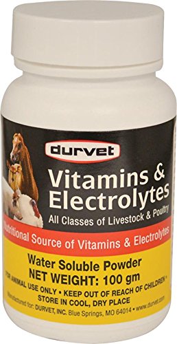 Durvet vitamines et électrolytes pour volailles, utilisation dans l'eau de boisson pour réhydratation.