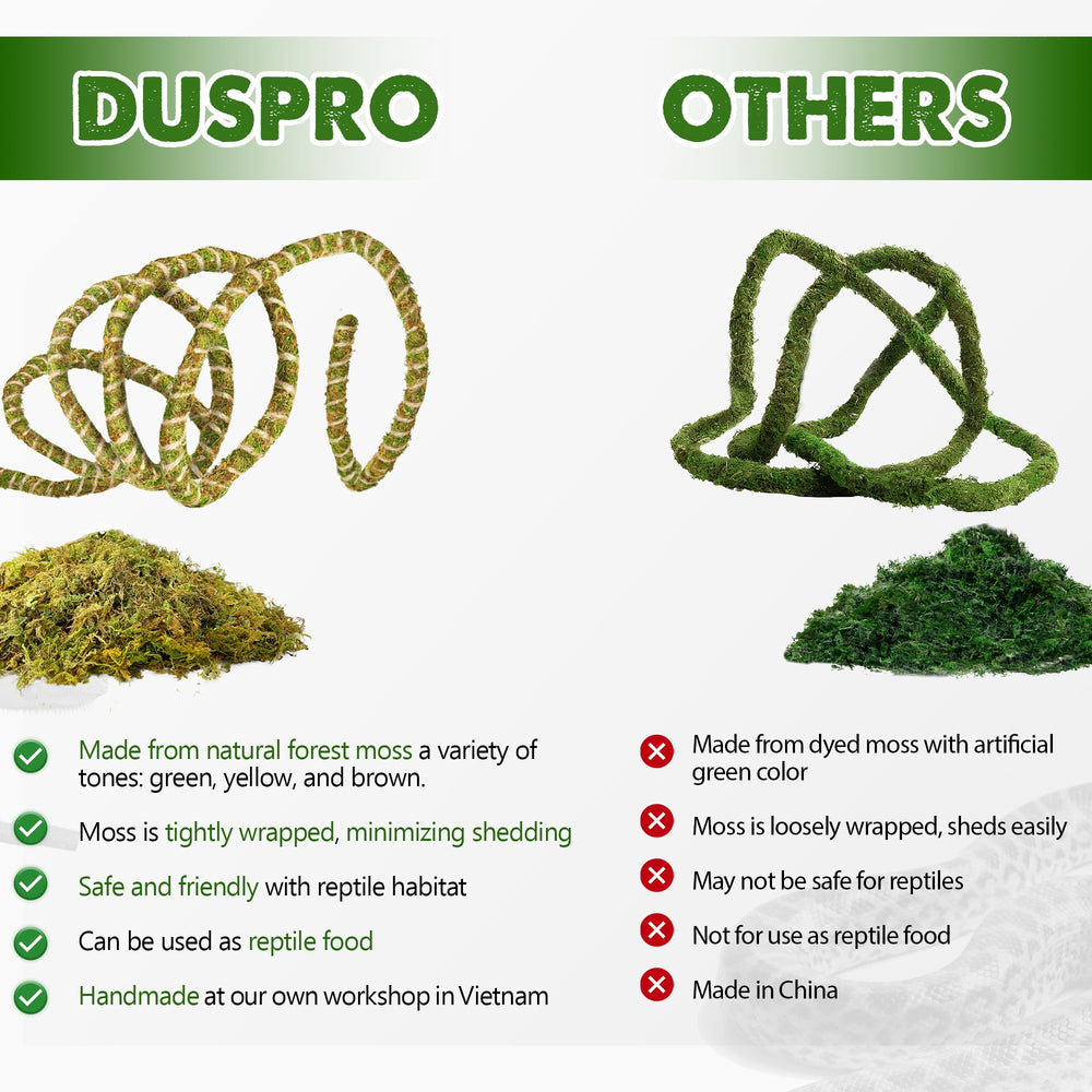 Duspro accessoire terrarium escalade offrant un espace supplementaire pour grimper.