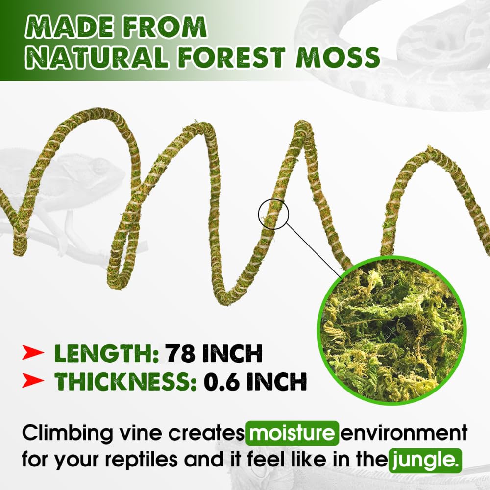 Duspro branche reptile mousse naturelle pour un decor realiste.