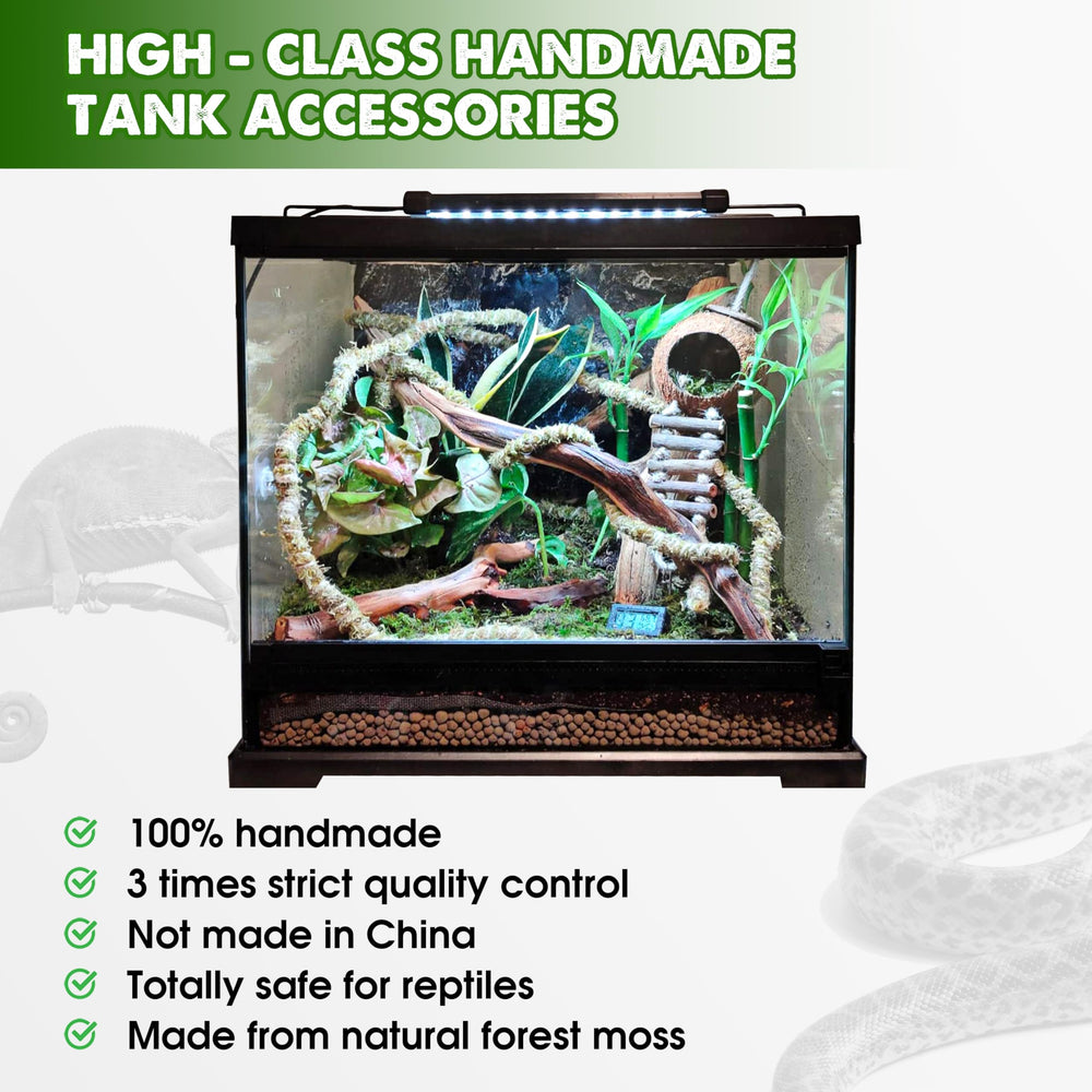Duspro equipement terrarium reptile assure securite et stimulation.