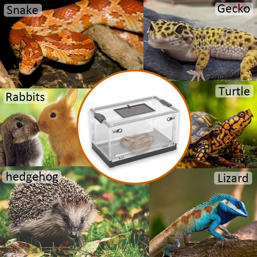 Dutiplus-tanque-serpent toît maillé assure ventilation et lumière naturelle