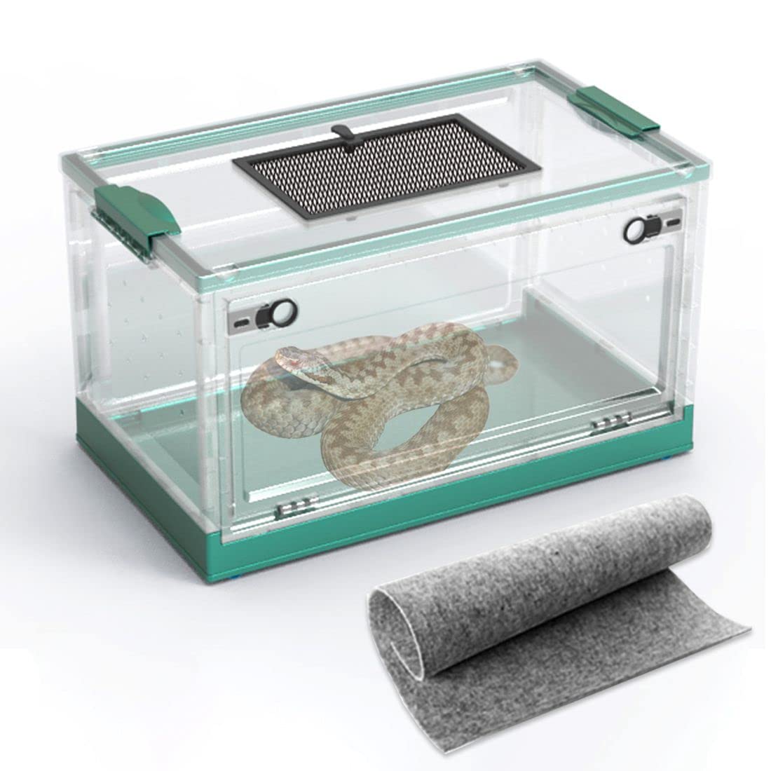 Dutiplus terrarium serpent avec vue à 360° pour observation facile