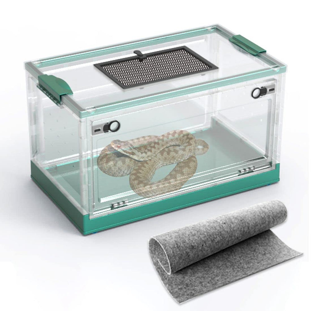 Dutiplus terrarium serpent avec vue à 360° pour observation facile