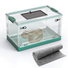 Dutiplus terrarium serpent avec vue à 360° pour observation facile