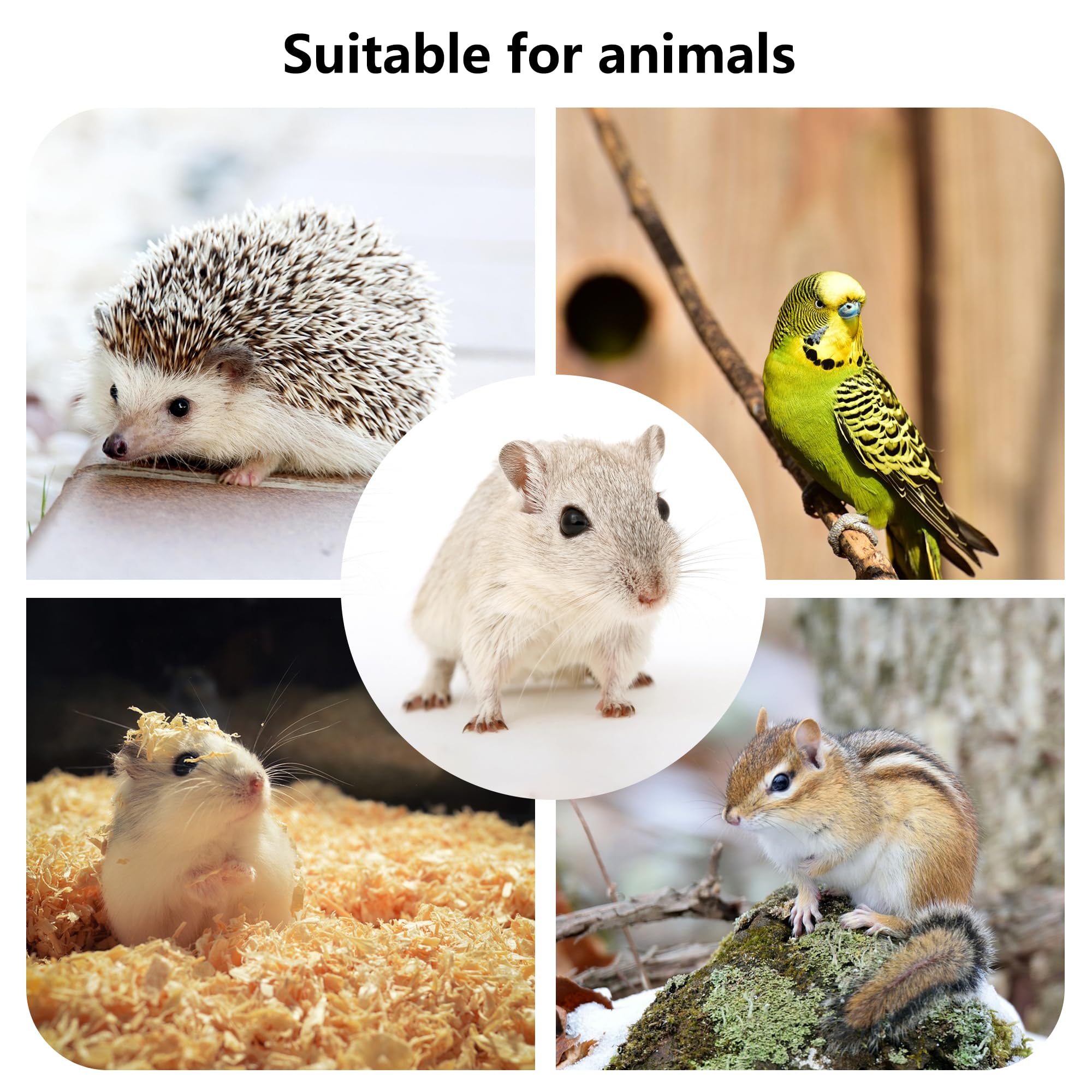 DVHEY jouet en bois pour petits animaux, stimulation mentale et activité physique.
