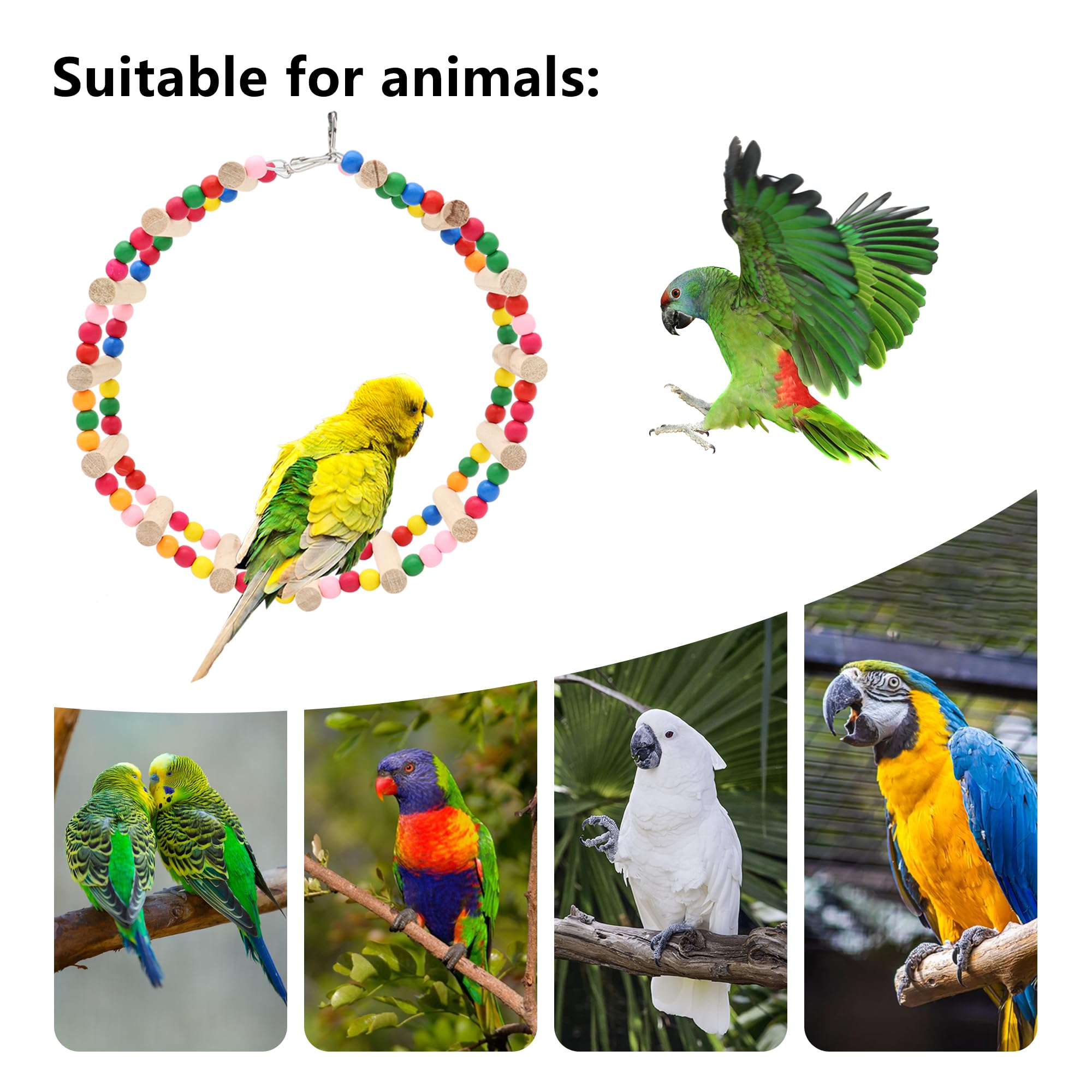 DVHEY jouets grimpe pour oiseaux encouragent activité et divertissement