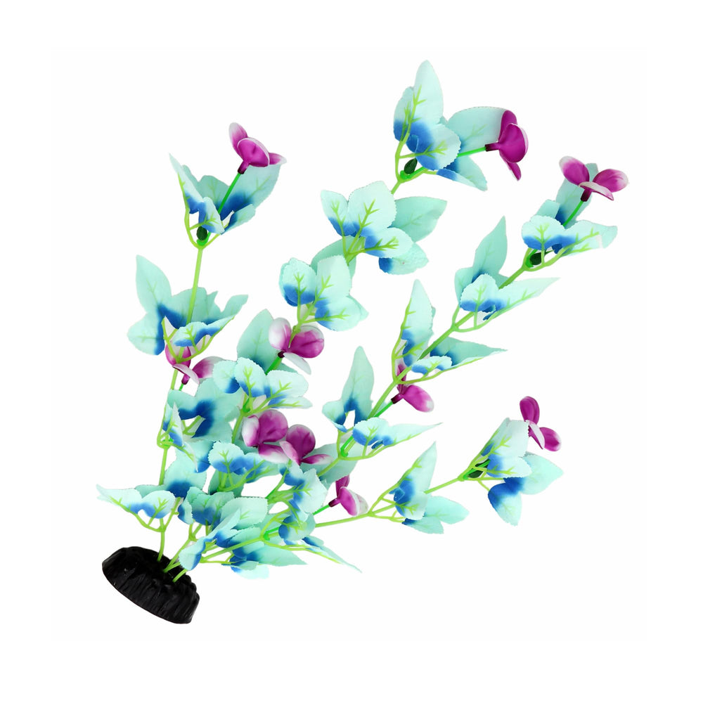 DVHEY: vue côté, cachettes naturelles pour betta et décor vivant.
