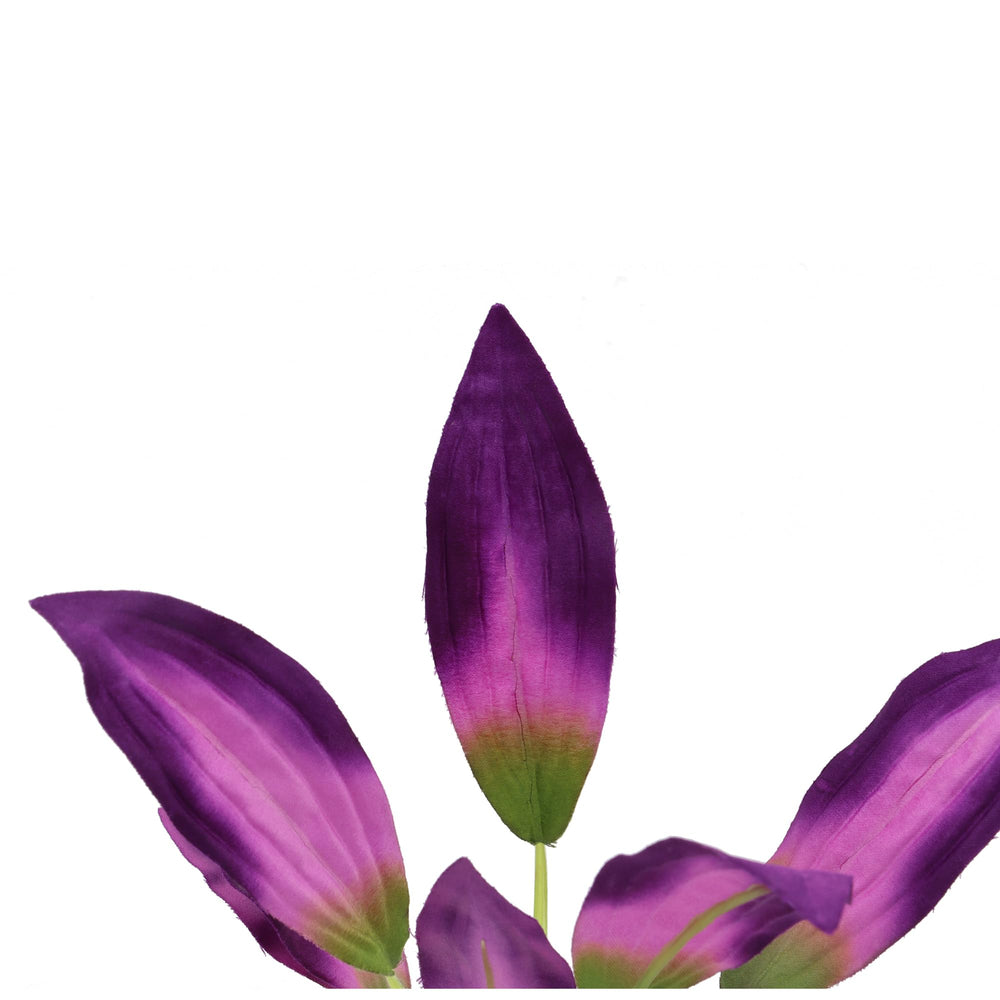 DVHEY plante en soie pour aquarium, violet, facile à nettoyer et repositionner.