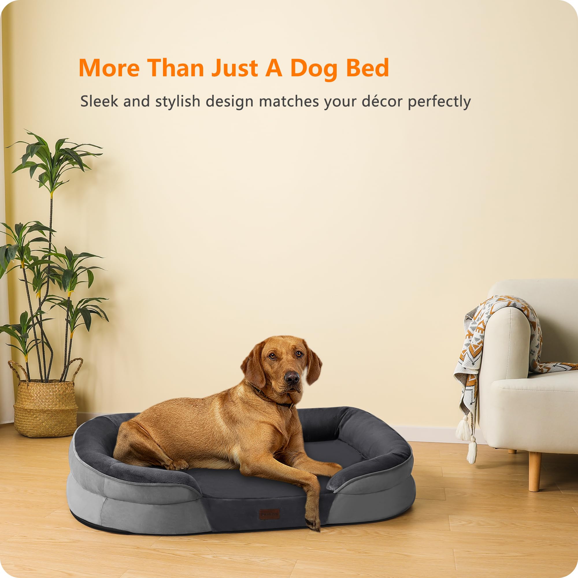 Dwanton lit chien gris fonce allie design moderne et praticite au quotidien.