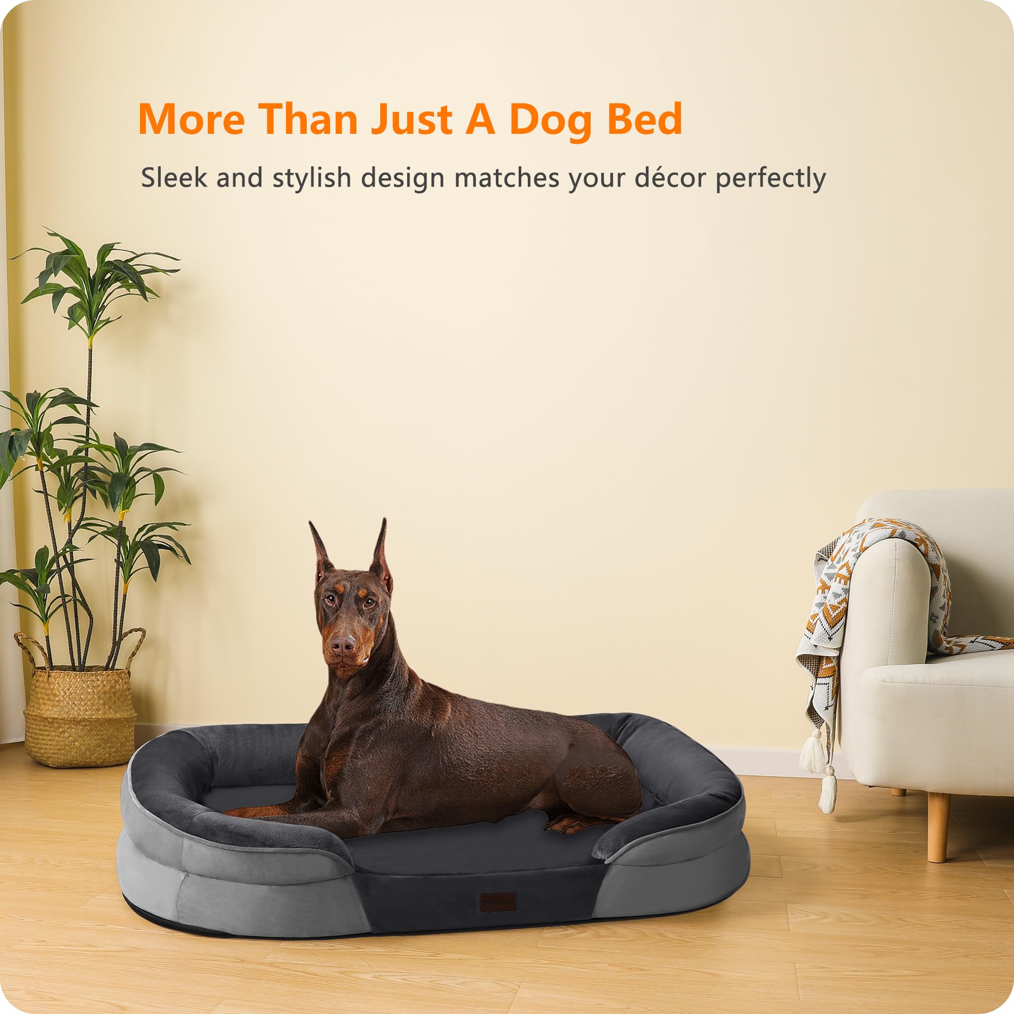 Dwanton disponible en 48 pouces convient aux chiens de grande taille