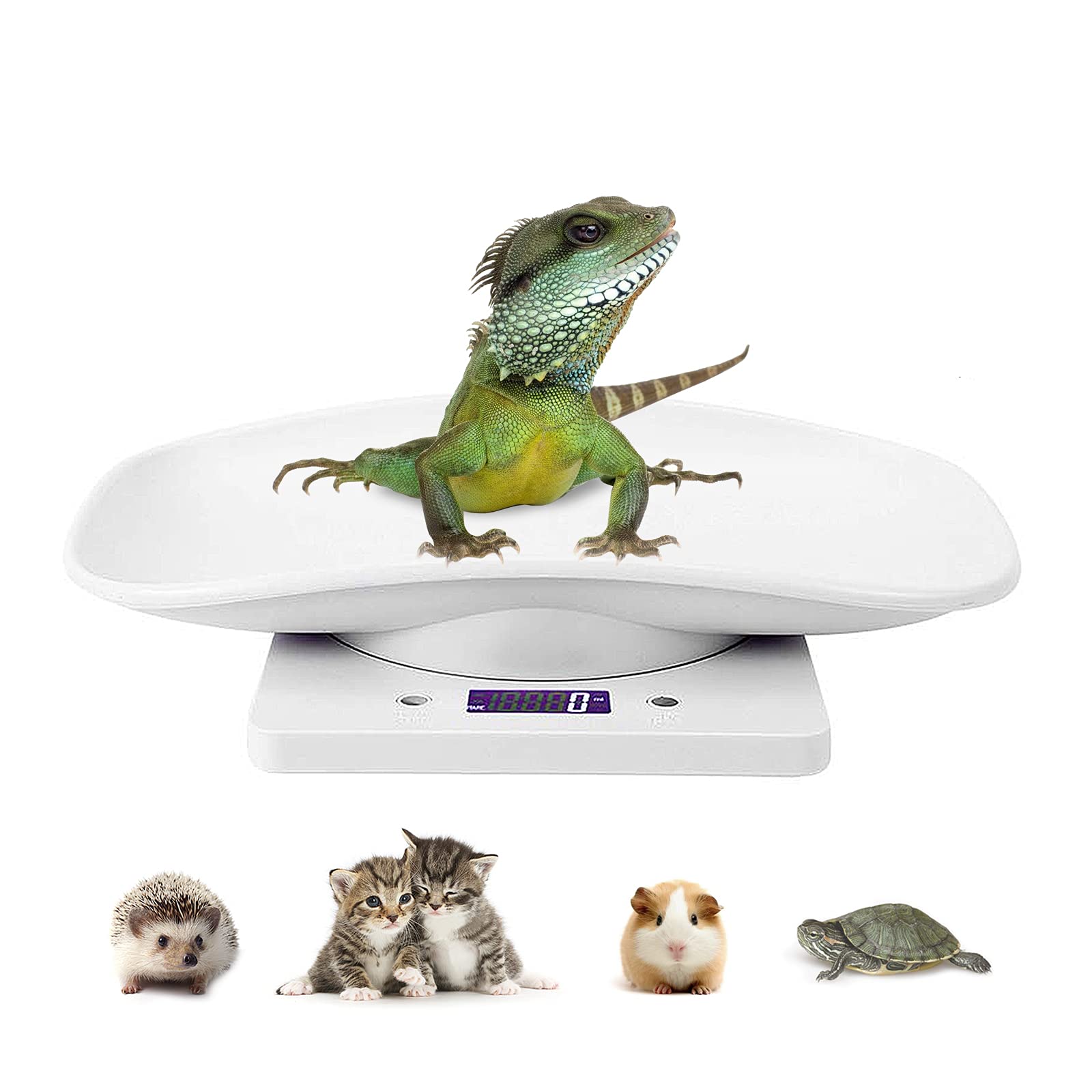 Balance DWSFADA pour animaux pesant en grammes, idéale pour jeunes animaux.