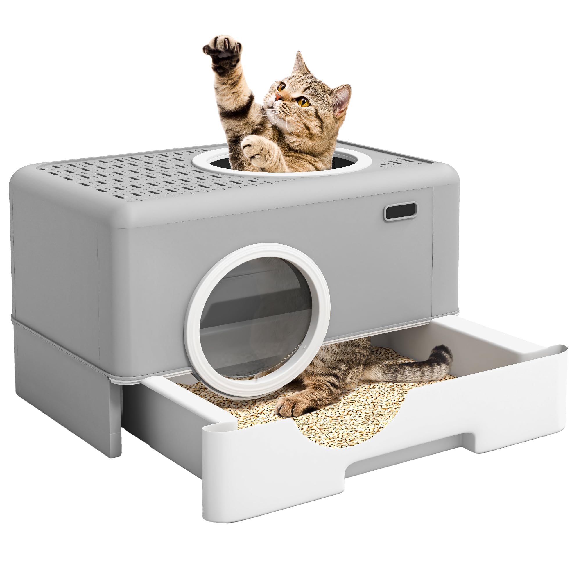 DWVO boîte-litière enceinte avec entrées deux sens, sécurité et confort.