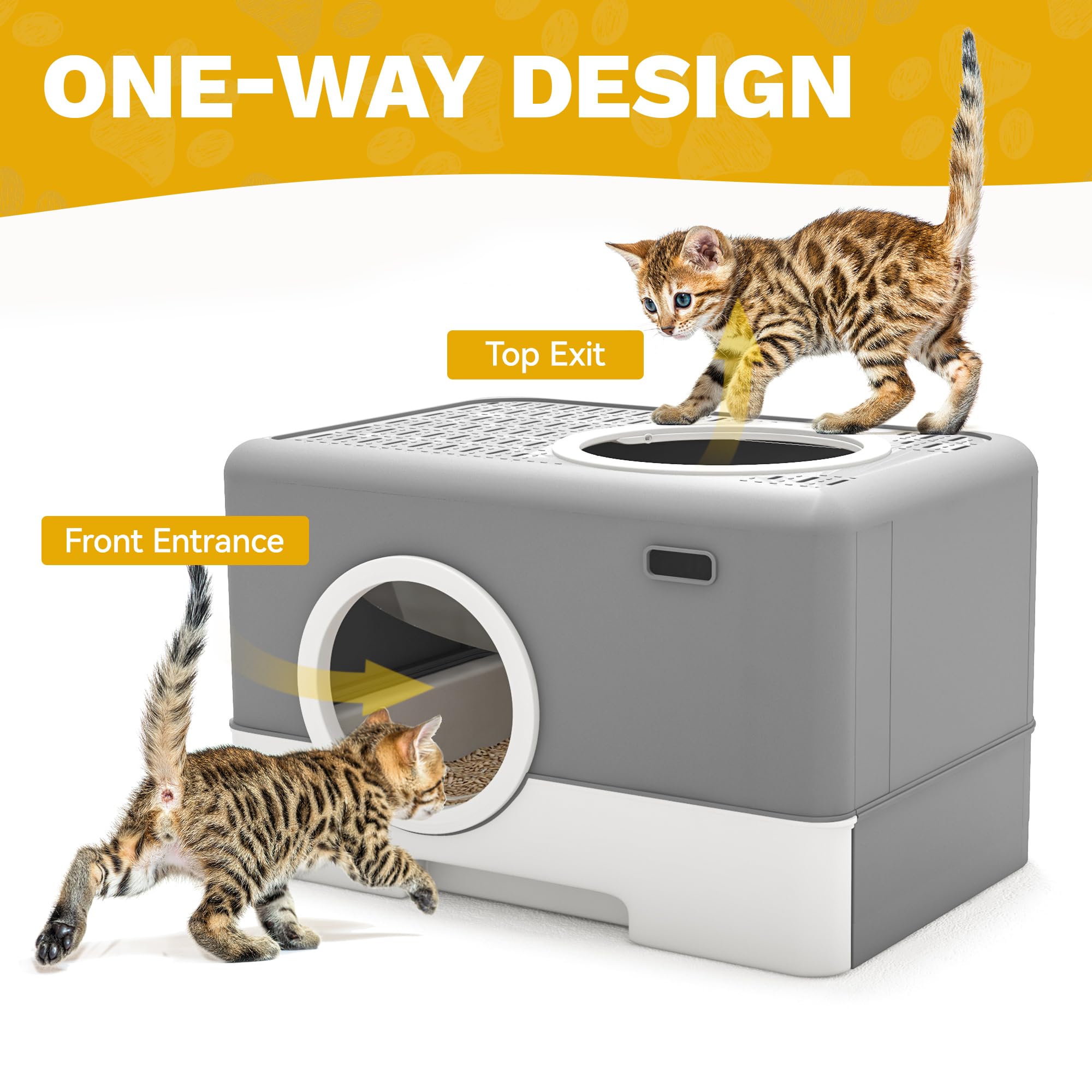 DWVO porte-frontale translucide apaise le chat pendant l utilisation.