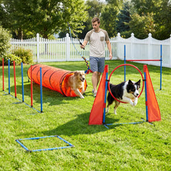 DWVO Poteau Appat, outil d’entraînement stimulant et polyvalent pour chien en extérieur