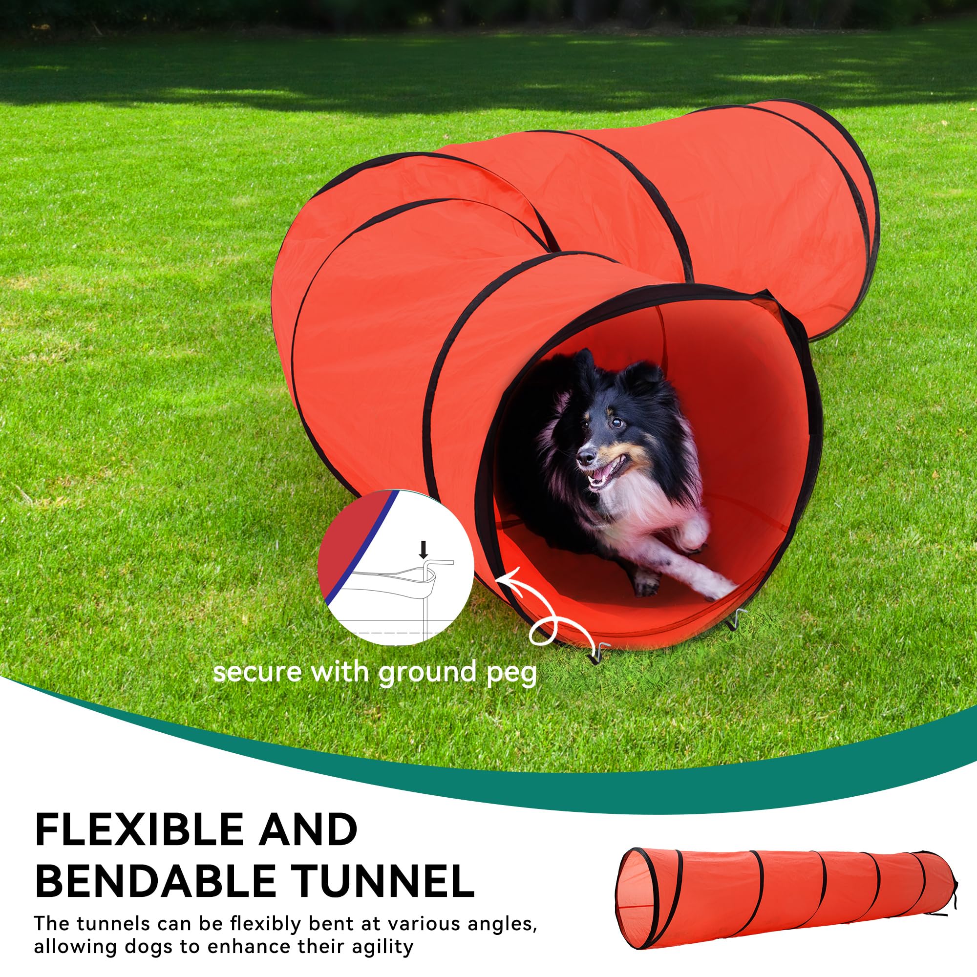 DWVO Tunnel d’agilité, tunnel pliable pour entraînements variés et dynamiques