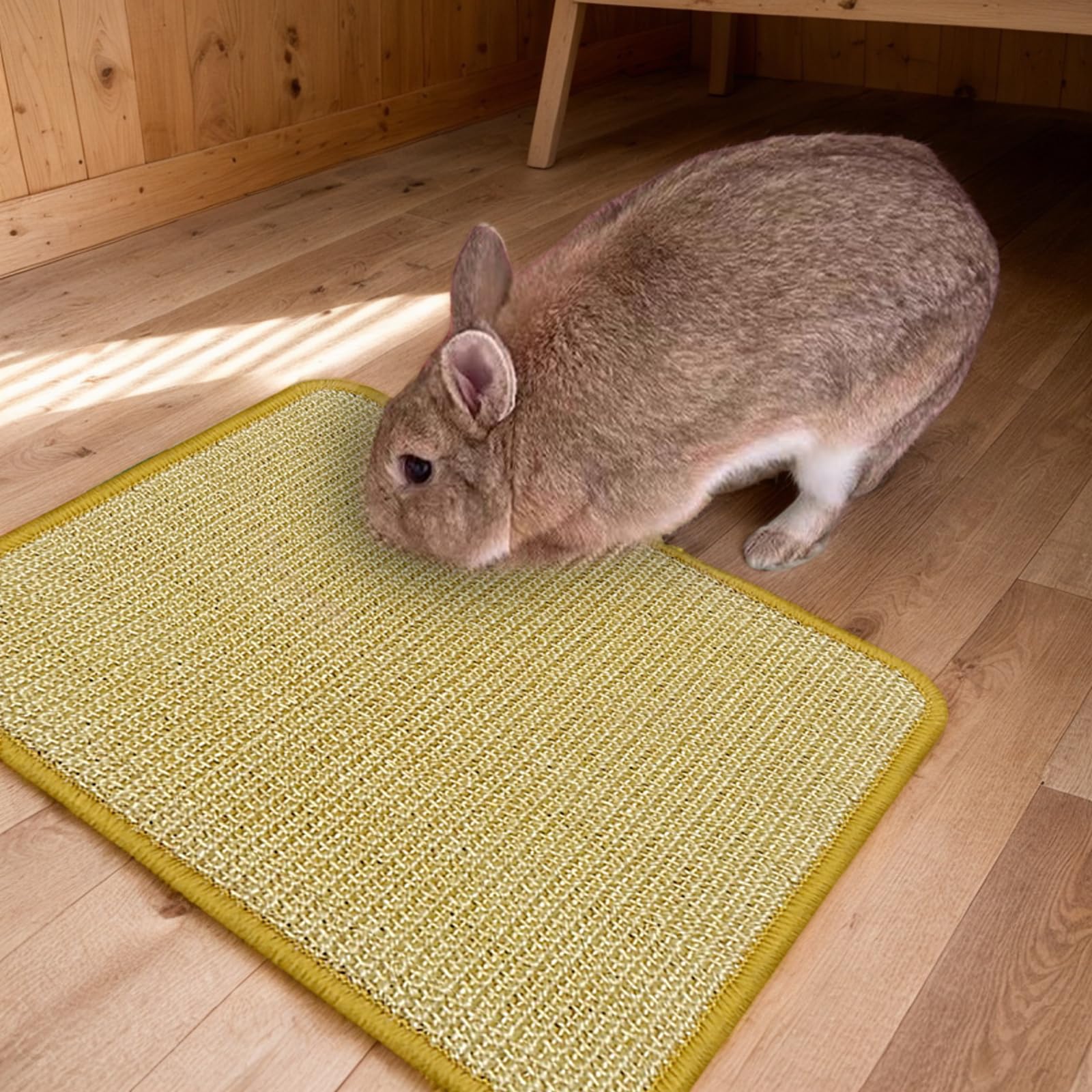 DYAUS format 16x12 pouces, adapté à la plupart des habitats intérieurs.