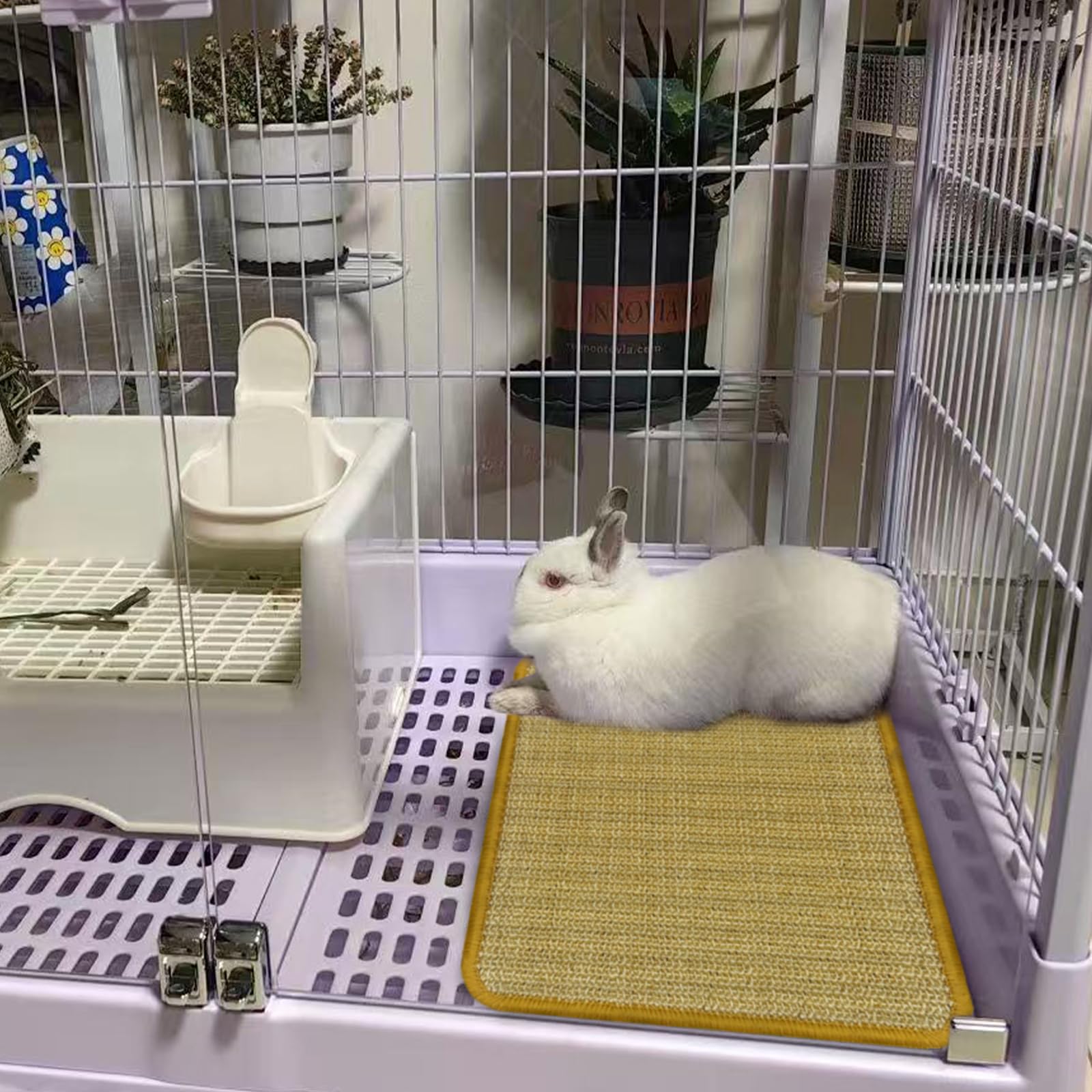 DYAUS tapis-grattage-petits-animaux, utile pour cobayes et hamsters.