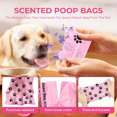 Dyforce sacs 13x9 pouces, taille idéale pour déchets quotidiens.