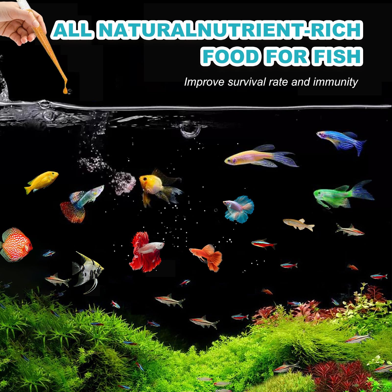 Dylan's Cabin – alimentation facile des jeunes poissons avec des nauplii nutritifs.