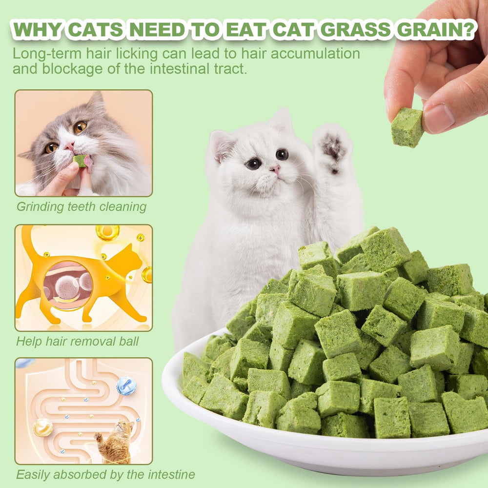 Emballage pratique 80 g des cubes Dylan's cabin pour chat.