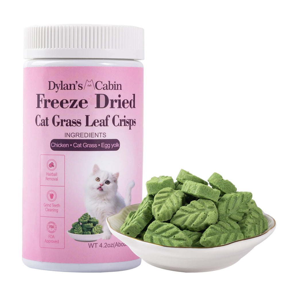 Dylan's Cabin – sachet lyophilisé de feuilles pour chat, pratique et frais au quotidien.