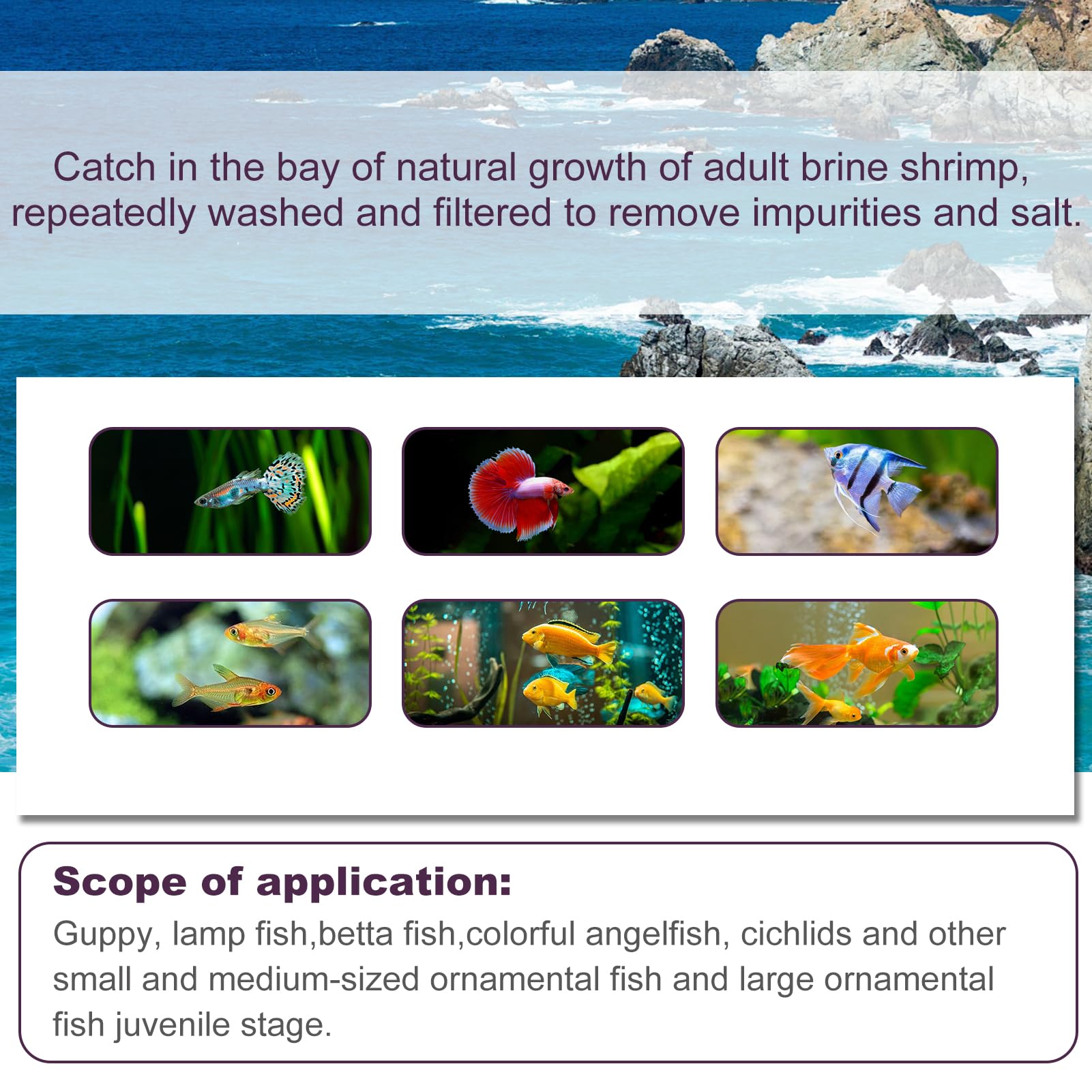 Dylan's Cabin – produit sans additifs, nutrition naturelle pour aquarium.