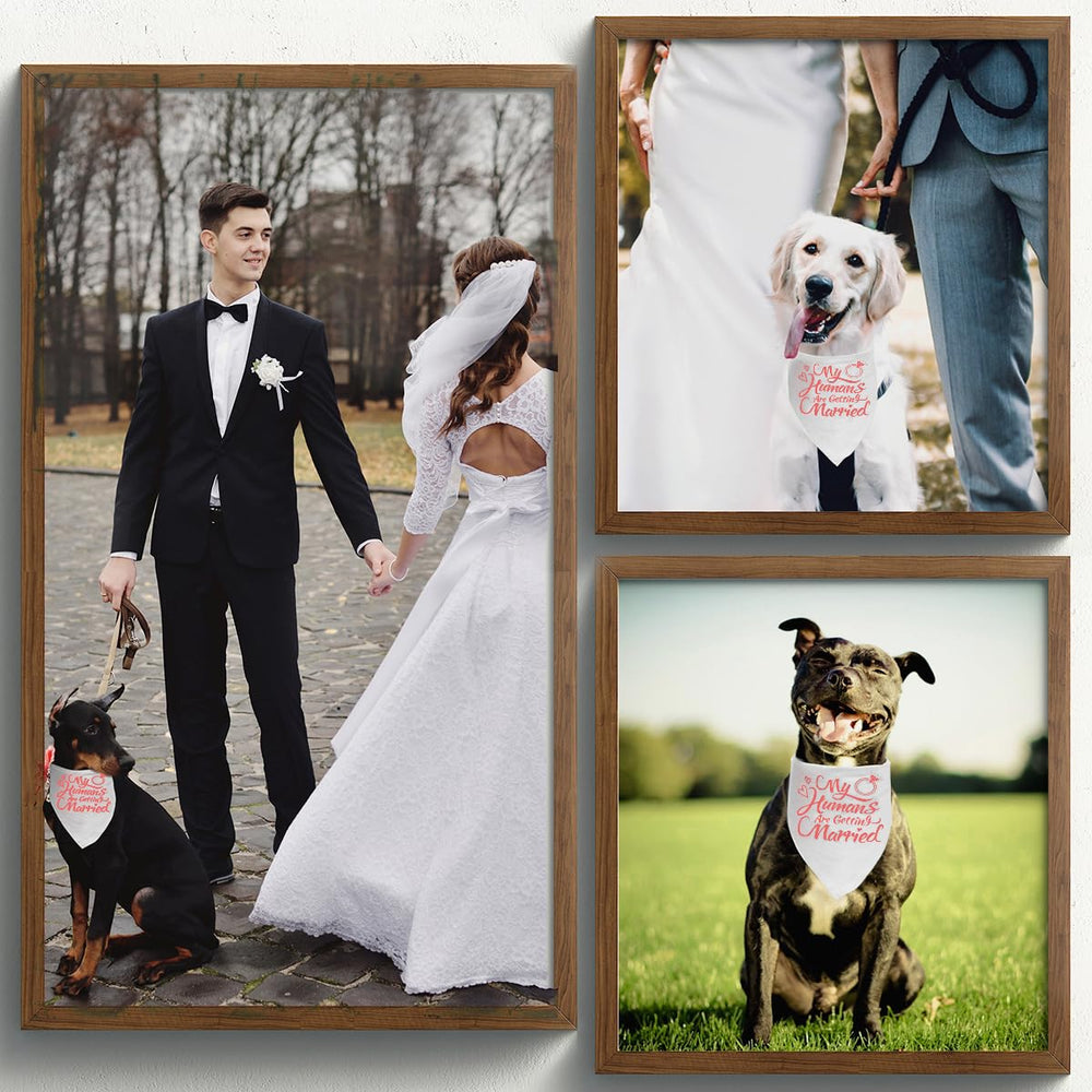 Dzmodz bandana accessoire mariage animal, polyvalent et pratique.