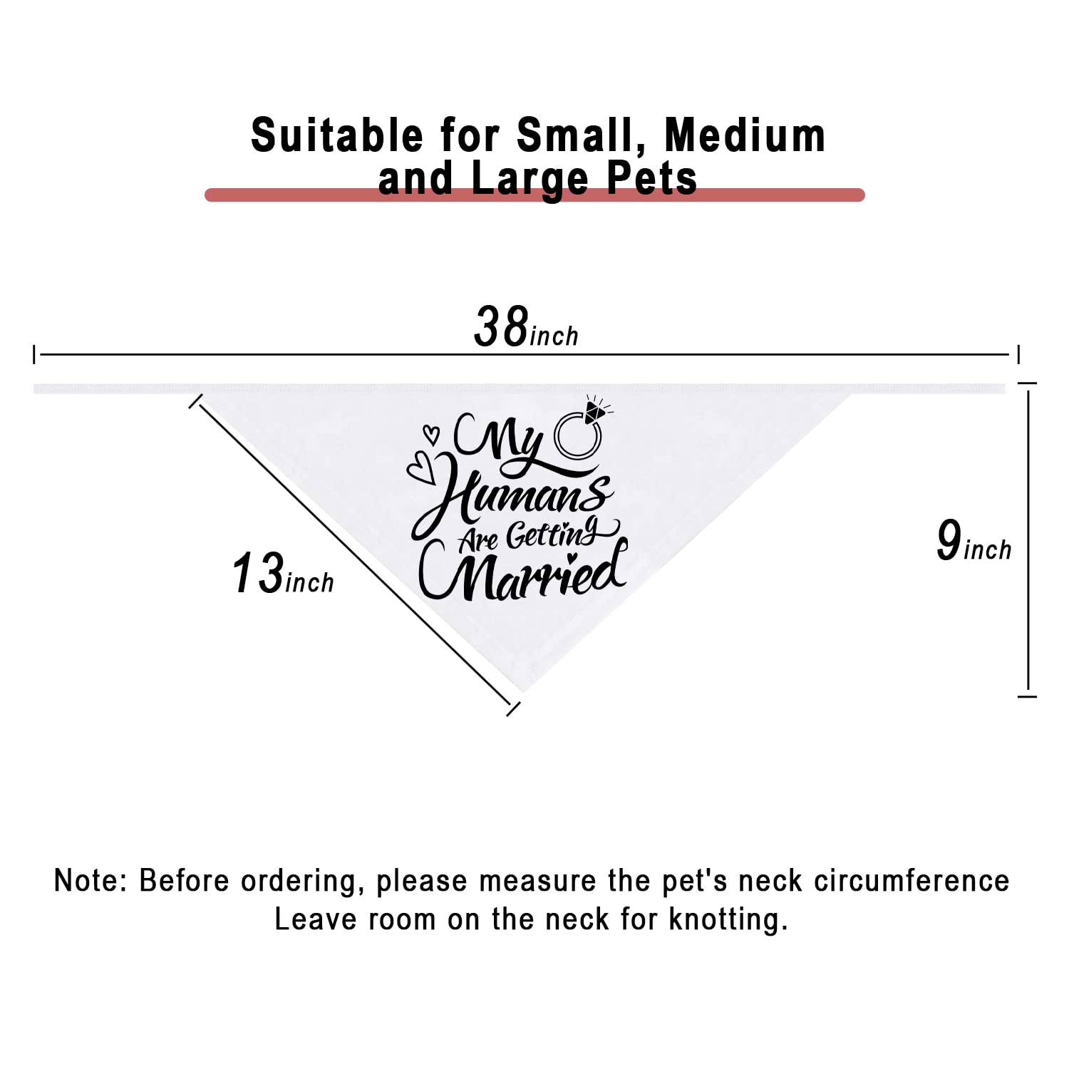 Dzmodz emballage 1 bandana pour animal prêt à l’emploi.