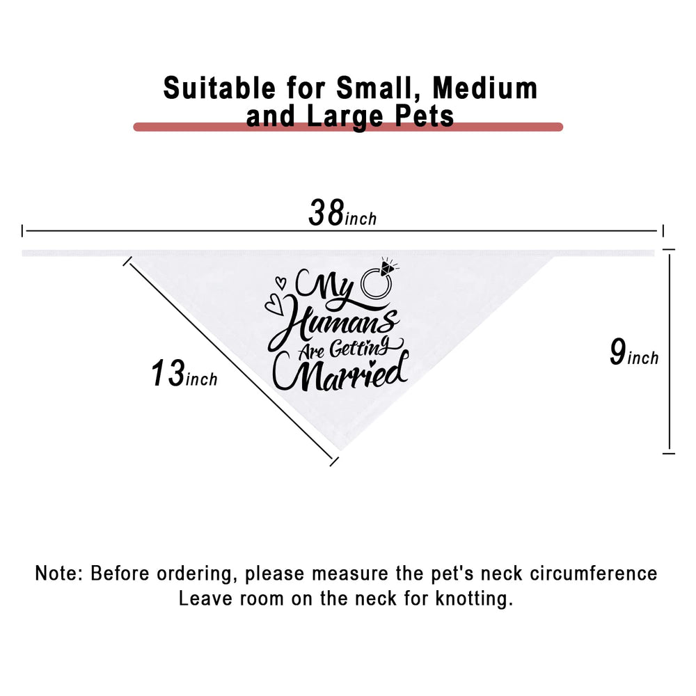 Dzmodz emballage 1 bandana pour animal prêt à l’emploi.