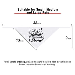 Dzmodz emballage 1 bandana pour animal prêt à l’emploi.