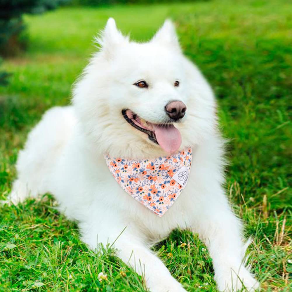 Ajustement jusqu’à 54 cm pour bandana E-Clover – s’adapte à plusieurs tailles.