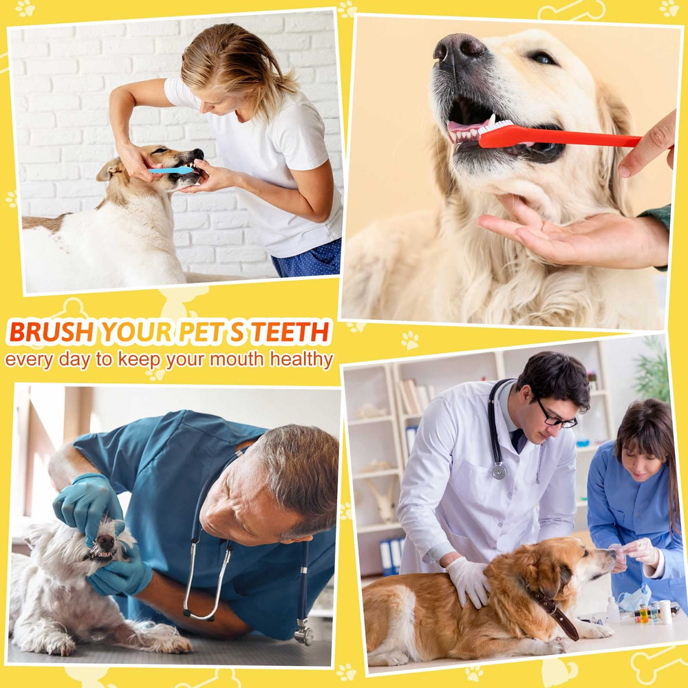 Eaasty brosse dentaire multi-couleurs facilitant le brossage régulier.