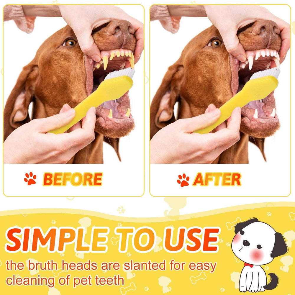 Eaasty outil dentaire pour animaux, utilisation quotidienne et contrôle du brossage.