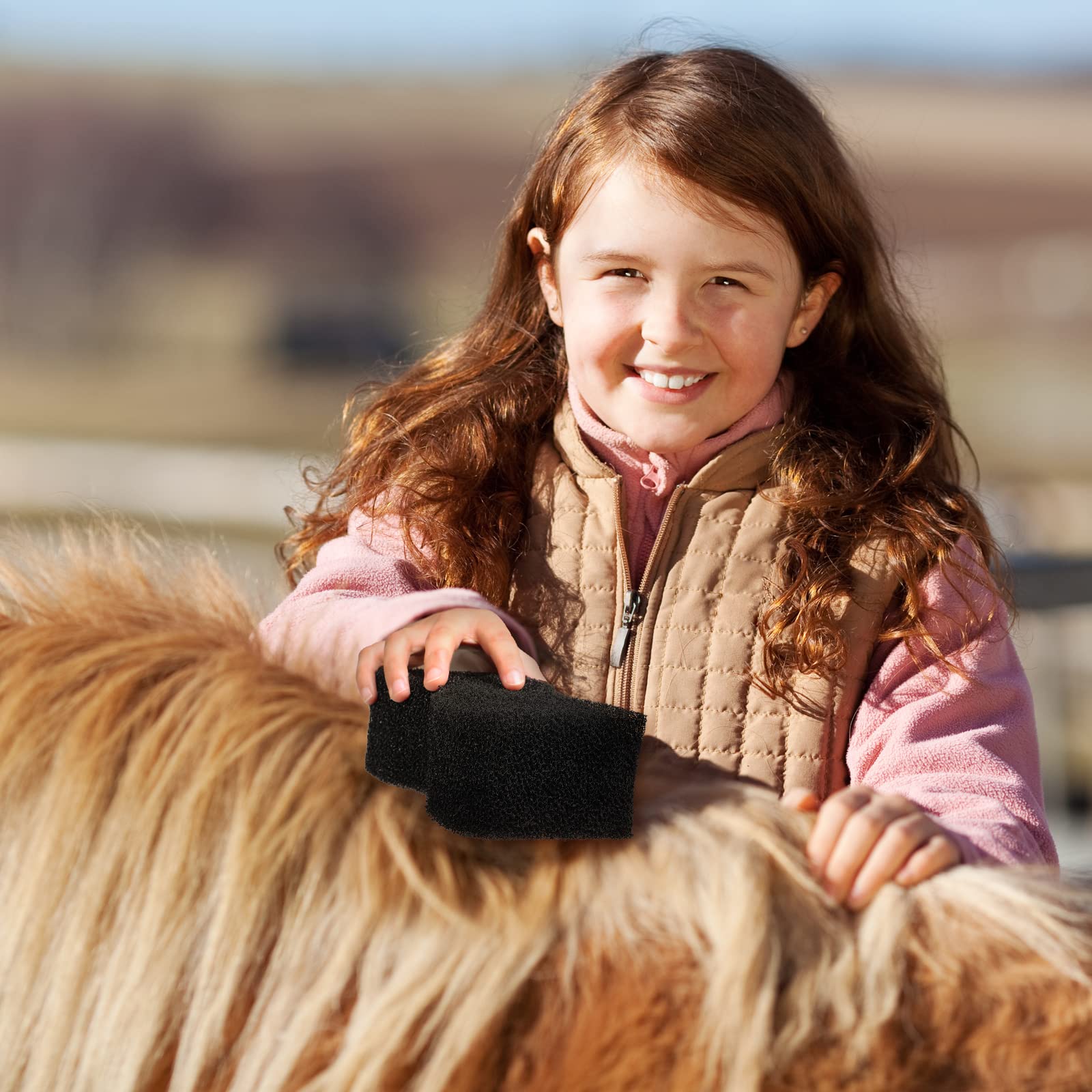 Eaasty éponge cheval sèche rapidement et facilite le rangement