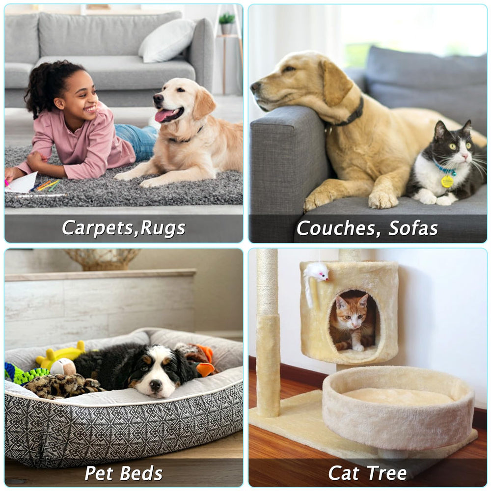 Eaersan cadeau idéal, pour les amoureux des animaux et une maison plus nette.