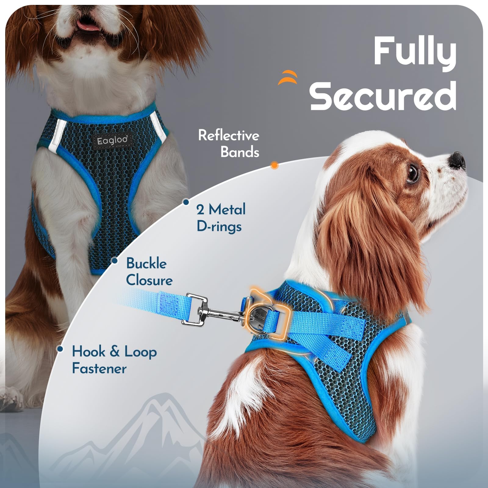 Guide de taille Eagloo, harnais adapté pour petites et moyennes races.