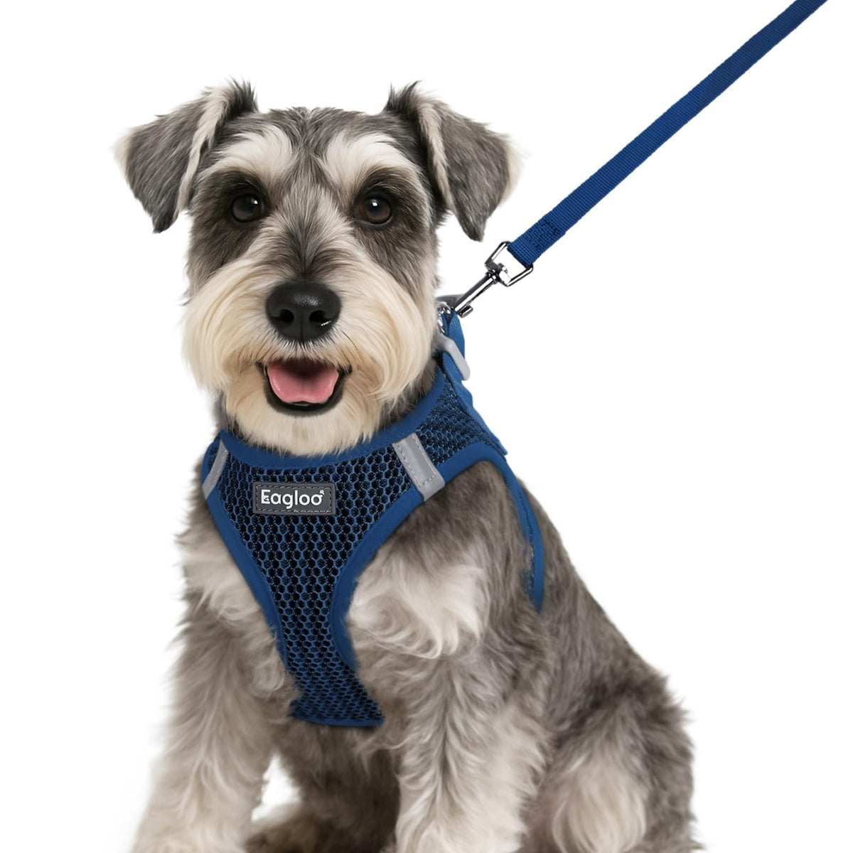 Harnais Eagloo pour petit chien en mesh respirant offrant confort lors des promenades.